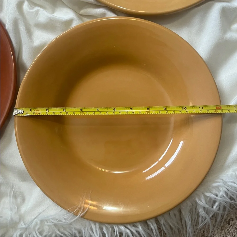 Pottery Barn Sausalito 4 Dinner Plates each 12 Inches each